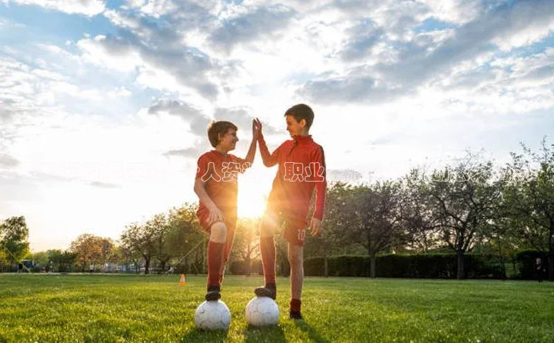 天辰平台代理注册开户文心一言足球运动员王路: 个人资料、职业生涯和最新动态大揭秘