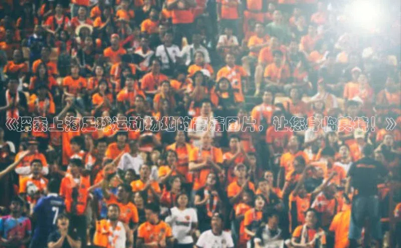 天辰娱乐京东《探索上海足球运动场地的高清图片，让您身临其境！》