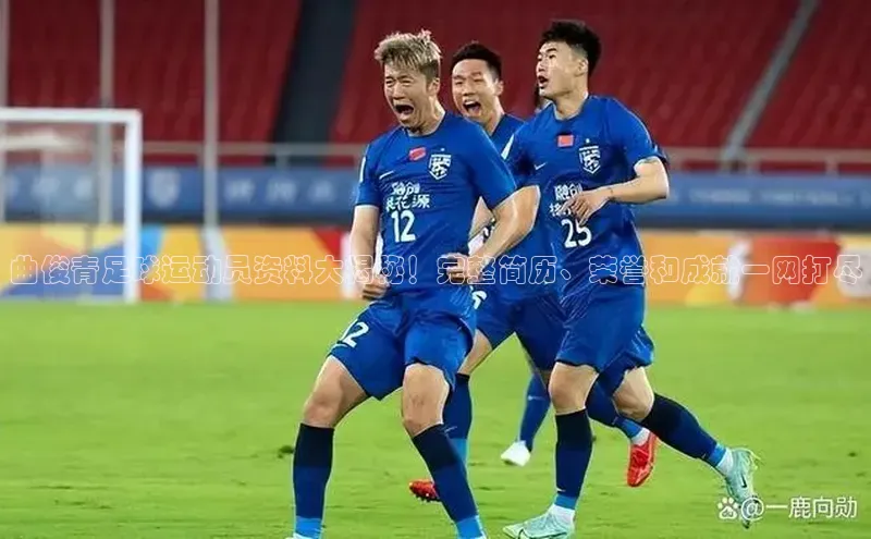 天辰平台登陆入口云创智行曲俊青足球运动员资料大揭秘！完整简历、荣誉和成就一网打尽