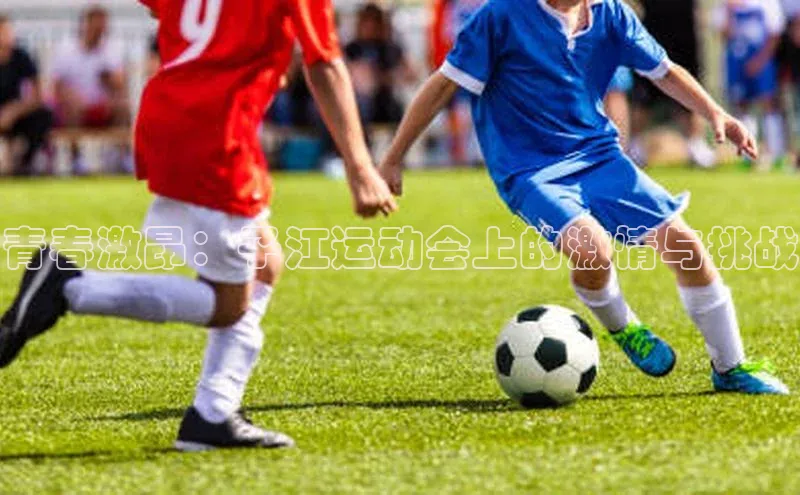 青春激昂：子江运动会上的激情与挑战