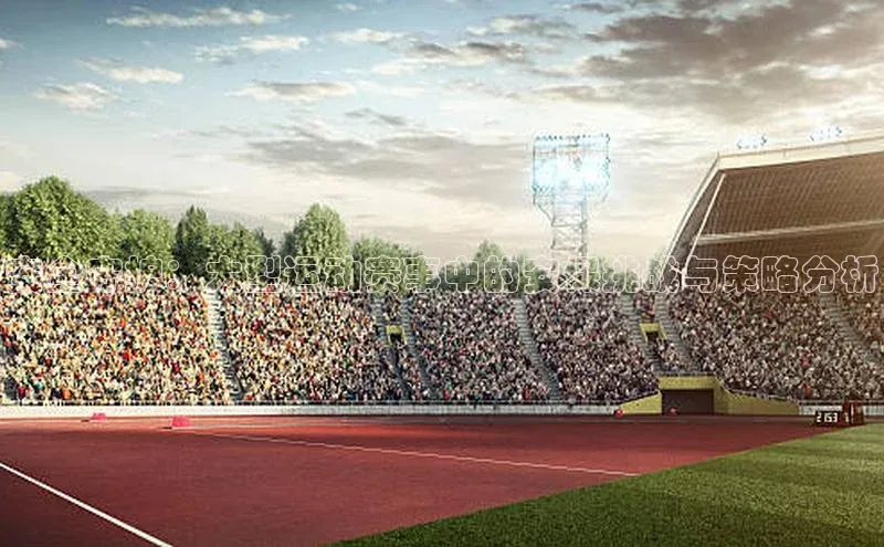 安全守护：大型运动赛事中的安保挑战与策略分析