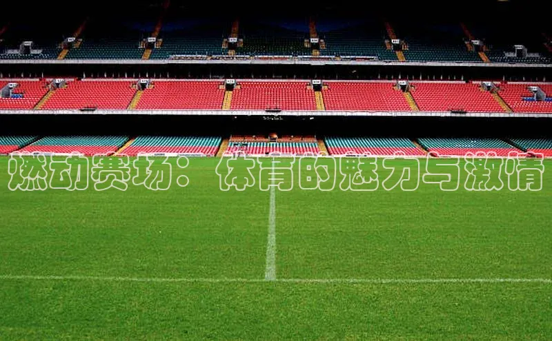 燃动赛场：体育的魅力与激情