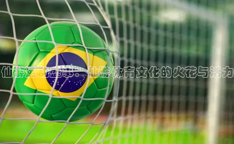 仙游运动盛事：仙游体育文化的火花与活力