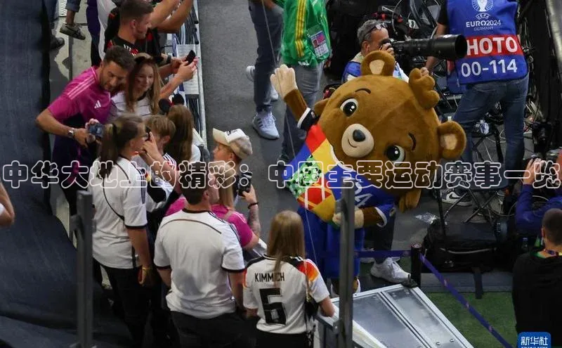 中华大地上的精彩：中国主要运动赛事一览