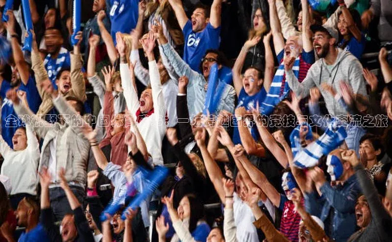 全球视野下的中国体育盛事：一场跨越国界的竞技与文化交流之旅