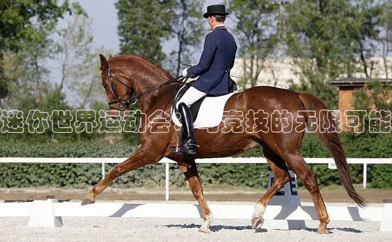 迷你世界运动会：与竞技的无限可能