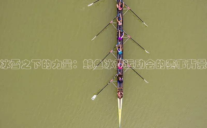 冰雪之下的力量：鲸鱼冰雪运动会的赛事背景