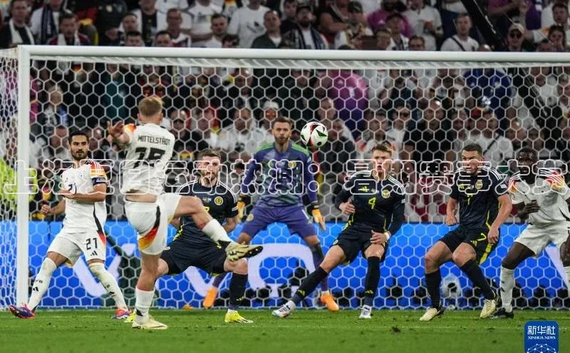 上海夏日运动热潮：暑期赛事大赏