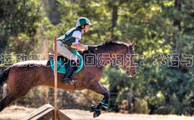 天辰平台app官方下载