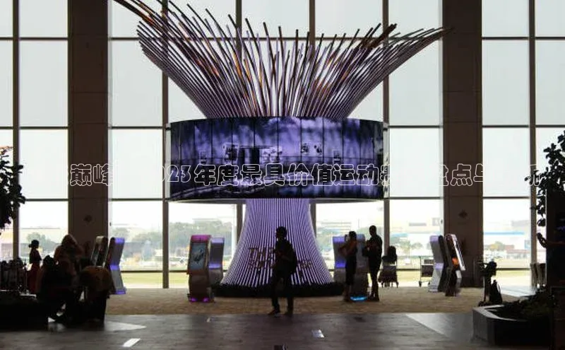 飞跃巅峰：2023年度最具价值运动赛事盘点与分析