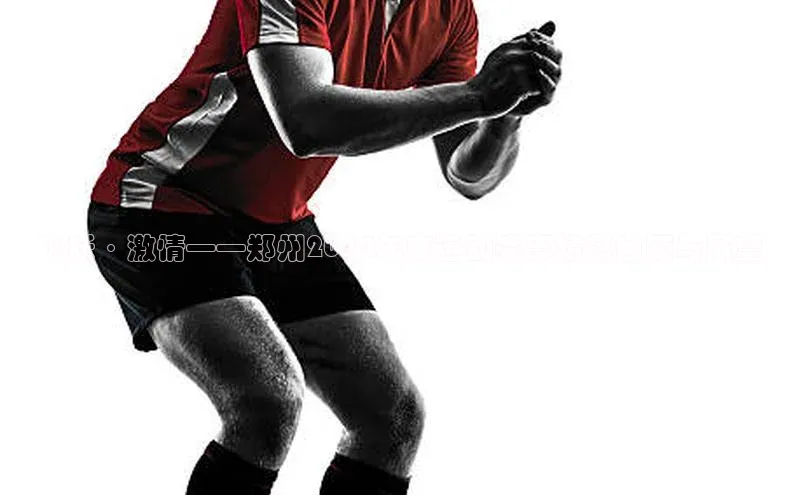 飞跃·激情——郑州2024年度运动赛事精彩回顾与展望